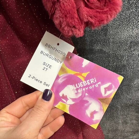 NEW Blueberi Boulevard Dress And Shrug, Burgundy, Tulle and Roses, Sz 2T (2A) - Picture 5 of 9